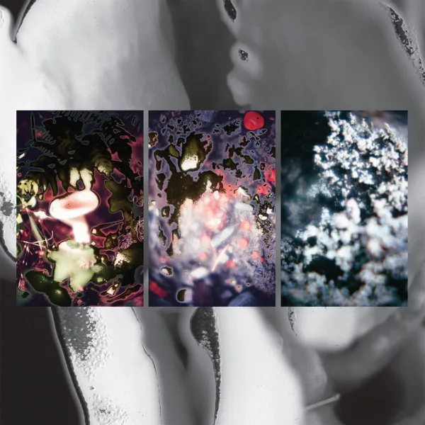 Flowers in May — Simone White & Kassem Mosse